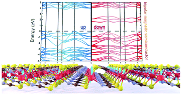 Graphical abstract: Ni(NCS)2 monolayer: a robust bipolar magnetic semiconductor