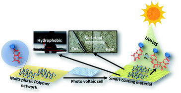 Graphical abstract: Modulation of flexo-rigid balance in photoresponsive thymine grafted copolymers towards designing smart healable coating