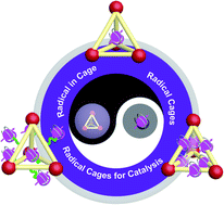 Graphical abstract: Recent advances and perspectives on supramolecular radical cages