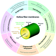 Graphical abstract: Recent progress and prospects of polymeric hollow fiber membranes for gas application, water vapor separation and particulate matter removal