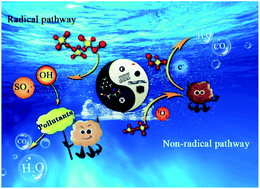 Graphical abstract: Modulation of carbon induced persulfate activation by nitrogen dopants: recent advances and perspectives