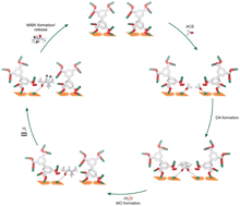 Graphical abstract: Gas-phase organometallic catalysis in MFM-300(Sc) provided by switchable dynamic metal sites