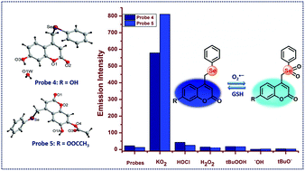 Graphical abstract: Synthesis and single crystal X-ray study of phenylselenyl embedded coumarin-based sensors for selective detection of superoxide