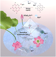 Graphical abstract: Achievement of high efficiency and thermally stable near-infrared phosphors by designing a chromium crystallographic environment for nondestructive testing and night vision