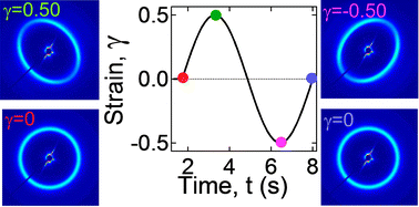 Graphical abstract: Temperature- and strain-dependent transient microstructure and rheological responses of endblock-associated triblock gels of different block lengths in a midblock selective solvent