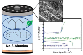 Graphical abstract: Bio-based ether solvent and ionic liquid electrolyte for sustainable sodium–air batteries