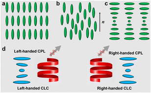 Graphical abstract: Bioinspired humidity-responsive liquid crystalline materials: from adaptive soft actuators to visualized sensors and detectors