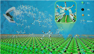 Graphical abstract: Stapled ligand for synthesis of highly emissive and stable CsPbBr3 perovskite nanocrystals in polar organic solvent