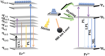 Graphical abstract: Achieving dynamic quintuple-mode luminescence in Ca3Ti2O7:Pr3+,Er3+ phosphor for anti-counterfeiting applications