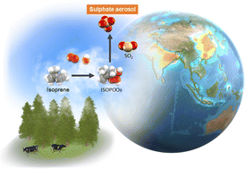 Graphical abstract: Kinetic study of isoprene hydroxy hydroperoxide radicals reacting with sulphur dioxide and their global-scale impact on sulphate formation