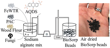 Graphical abstract: Development of composite alginate bead media with encapsulated sorptive materials and microorganisms to bioaugment green stormwater infrastructure