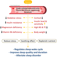 Graphical abstract: Exploring honey's potential as a functional food for natural sleep aid