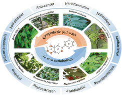 Graphical abstract: Chemistry, bioactivities, structure–activity relationship, biosynthesis and metabolism of prenylated flavonoids in Moraceae plants