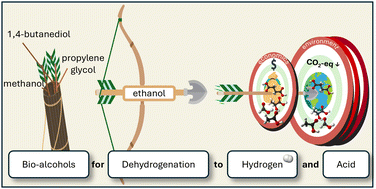 Graphical abstract: Greening two chemicals with one bio-alcohol: environmental and economic potential of dehydrogenation to hydrogen and acids