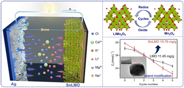 Graphical abstract: Enhanced lithium extraction from brine using surface-modified LiMn2O4 electrode with nanoparticle islands