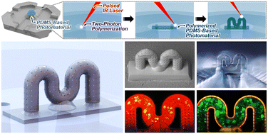 Graphical abstract: 3D nanoprinting of PDMS microvessels with tailored tortuosity and microporosity via direct laser writing