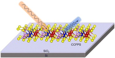 Graphical abstract: Tunable magnetoelectricity and polarity in van der Waals antiferromagnetic CuCr1−xFexP2S6