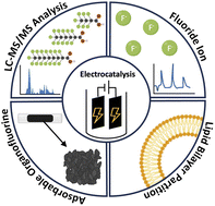 Graphical abstract: Electrocatalytic water treatment of per- and polyfluoroalkyl substances reduces adsorbable organofluorine and bioaccumulation potential