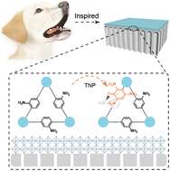 Graphical abstract: An ultrasensitive 2,4,6-trinitrophenol nanofluidic sensor inspired by olfactory sensory neurons in sniffer dogs