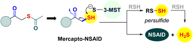 Graphical abstract: Mercapto-NSAIDs generate a non-steroidal anti-inflammatory drug (NSAID) and hydrogen sulfide