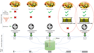 Graphical abstract: A comprehensive pre-treatment strategy evaluation of ligno-hemicellulosic biomass to enhance biogas potential in the anaerobic digestion process