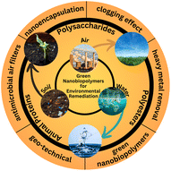 Graphical abstract: Greener nanobiopolymers and nanoencapsulation: environmental implications and future prospects