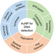 Graphical abstract: A gold nanoparticle-based colorimetric strategy for DNA detection: principles and novel approaches