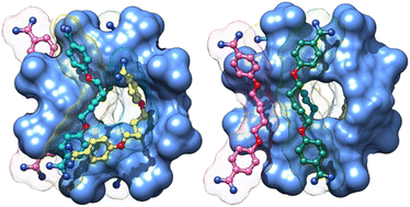 Graphical abstract: Host–guest conformational adaptation in the crystal complexes of pentamidine and p-sulfonato-calix[n]arenes