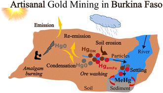 Graphical abstract: Mercury transfer and transformation from mine soil to river sediments: the potential role of amorphous iron oxides in methylation processes in southern Burkina Faso