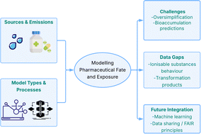 Graphical abstract: Advances and challenges in modelling the environmental fate and exposure of pharmaceuticals: a comprehensive review