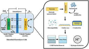 Graphical abstract: Surface characteristics of electrodes in microbial electrolysis cells: a review on wastewater treatment