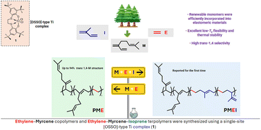 Graphical abstract: An old tool to obtain new polymers from renewable resources: [OSSO]-type titanium-catalysed ethylene and myrcene copolymers