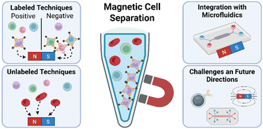 Graphical abstract: Blood cell separation with magnetic techniques: a critical review