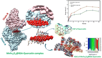 Graphical abstract: An integrated computational and experimental study of BSA-coated MnFe2O4 nanoparticles as a drug delivery platform for quercetin