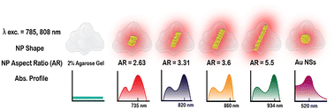 Graphical abstract: Plasmonic enhancement of photothermal conversion in hydrogels using gold nanorods