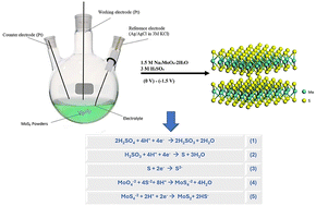 Graphical abstract: One-step room-temperature electrochemical production of 2H-molybdenum disulfide (2H-MoS2) powders as anode materials for lithium-ion batteries