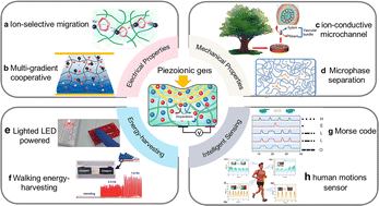 Graphical abstract: Piezoionic effect in gels: multifunctional applications from energy harvesting to intelligent sensing