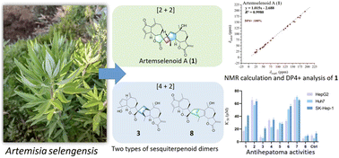 Graphical abstract: Artemselenoids A–H, eight guaiane-type sesquiterpenoid dimers from Artemisia selengensis and their antihepatoma activities
