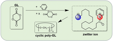 Graphical abstract: Zwitterionic polymerization of glycolide catalyzed by pyridine