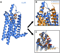 Graphical abstract: Enhancing binding affinity predictions through efficient sampling with a re-engineered BAR method: a test on GPCR targets
