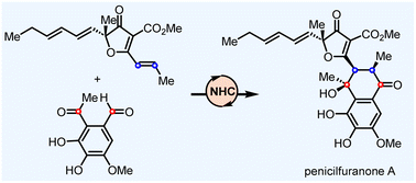 Graphical abstract: Asymmetric total synthesis of penicilfuranone A through an NHC-catalyzed umpolung strategy