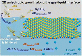 Graphical abstract: A general “gas–liquid” synthesis strategy towards centimeter-scale two-dimensional non-layered semiconductors