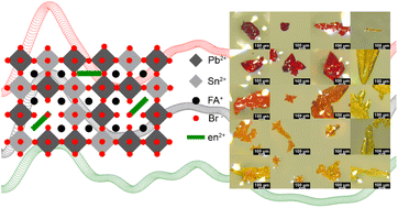 Graphical abstract: Tuning optical properties and local lone-pair off-centering in “hollow” FA1−x{en}xPbη−ySnyBr3 perovskites