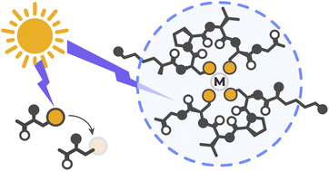 Graphical abstract: Preferential survival of prebiotic metallopeptides in the presence of ultraviolet light