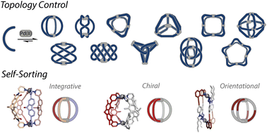 Graphical abstract: Topological variety and self-sorting in homo- and heteroleptic PdnL2n metallo-supramolecular assemblies