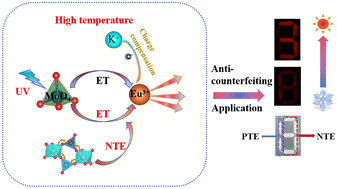 Graphical abstract: Tuning luminescence thermal quenching performance of KxMgxSc1.95−xMo3O12:5%Eu3+ phosphor via synergistic negative thermal expansion and charge compensation effects